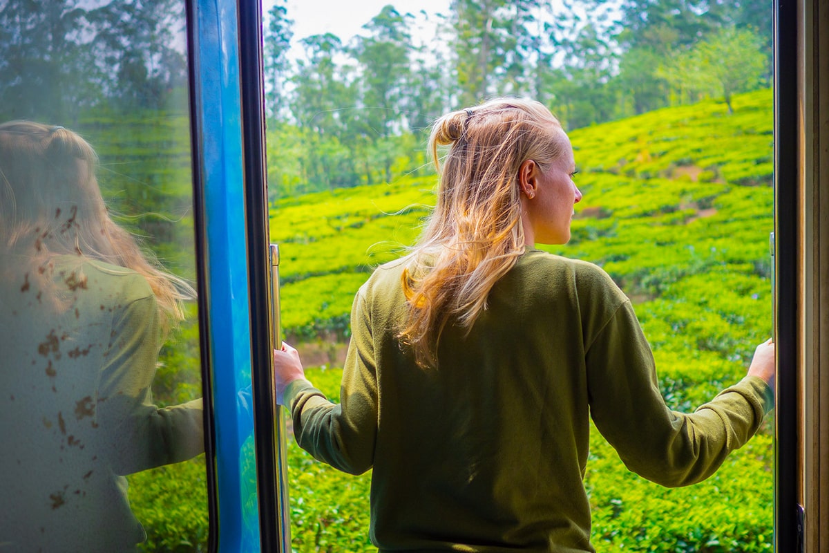 Nanu Oya(Nuwara Eliya) to Ella Train Journey