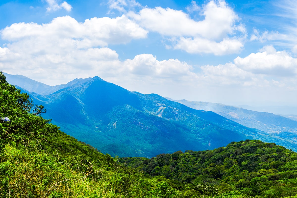Riverston Mountain Trekking