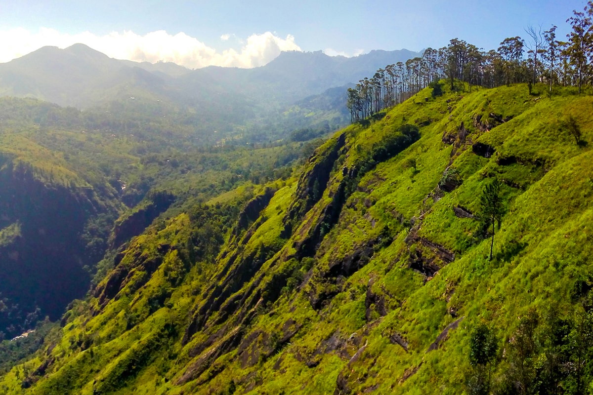 Sinharaja Rainforest Escape
