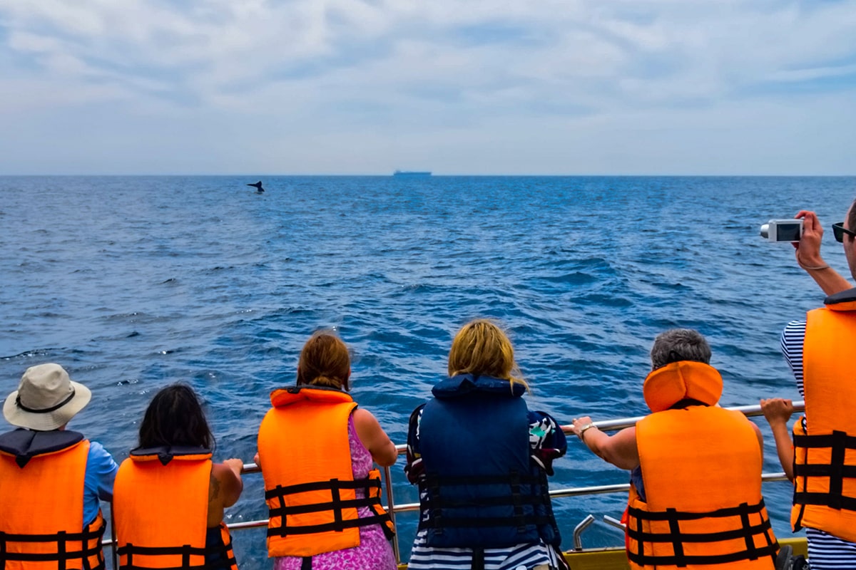 Whale Watching at Mirissa