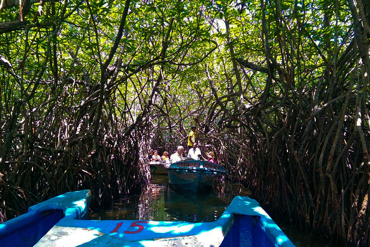 Madu Ganga River Boat Ride